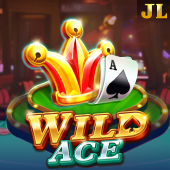 Wild Ace Slot - Game Zone App